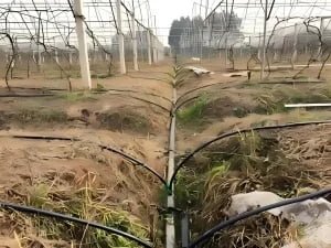 Agricultural mainline pipe repair
